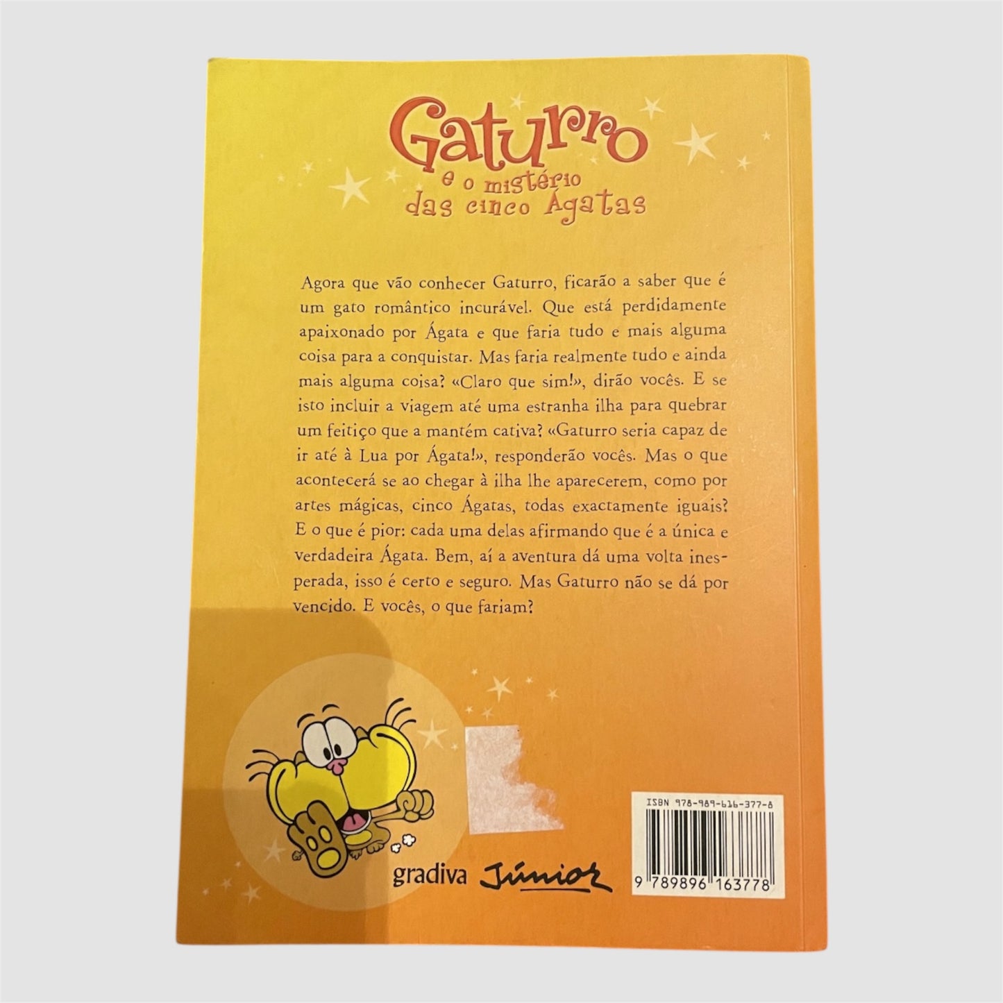 Livro “ Gaturro e o mistério das cincos ágatas” NIK