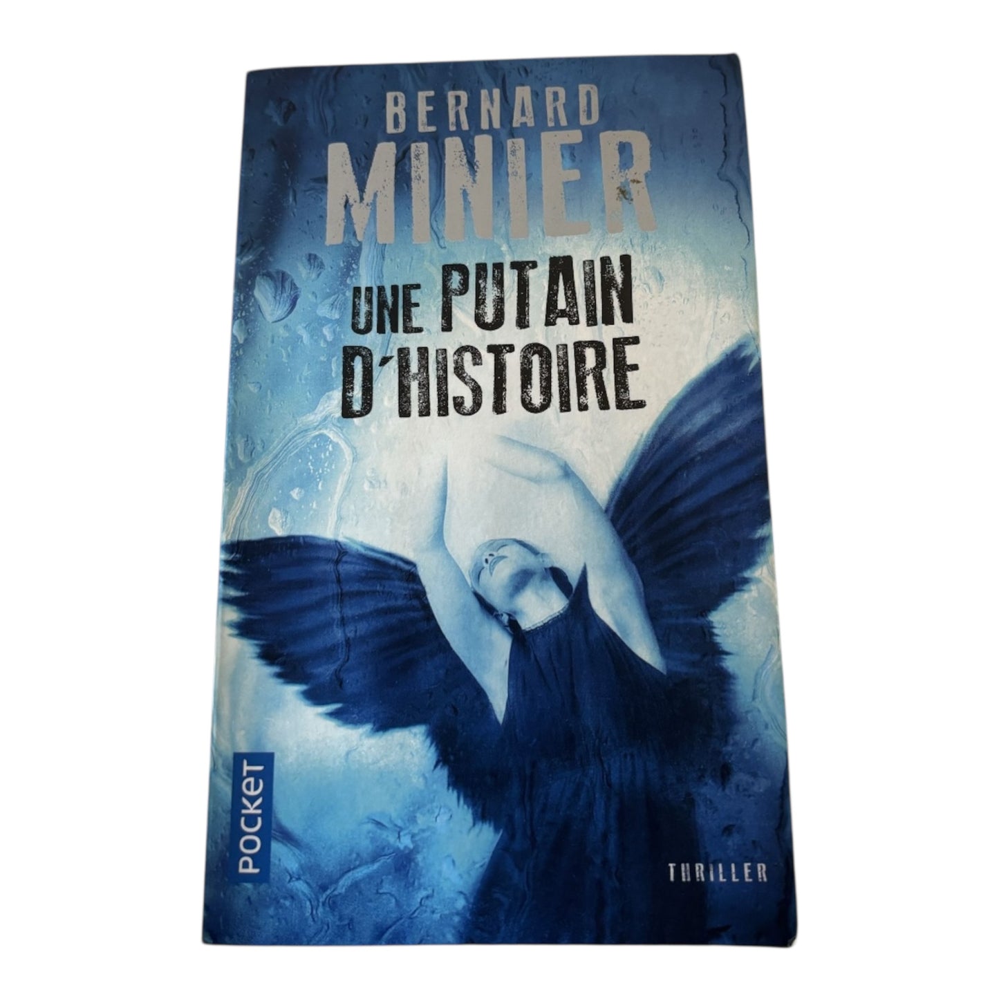 Livro “ Une Putain D’Histoire” de Bernard Minier