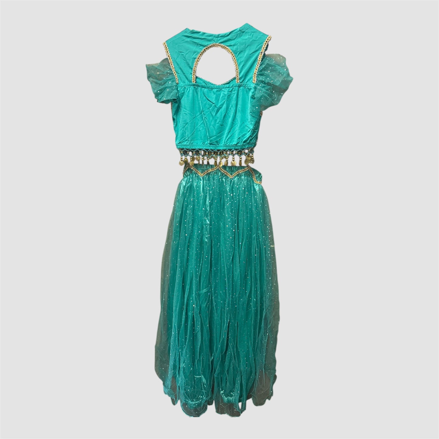 Disfarce Princesa Jasmine (Aladdin) Novo L