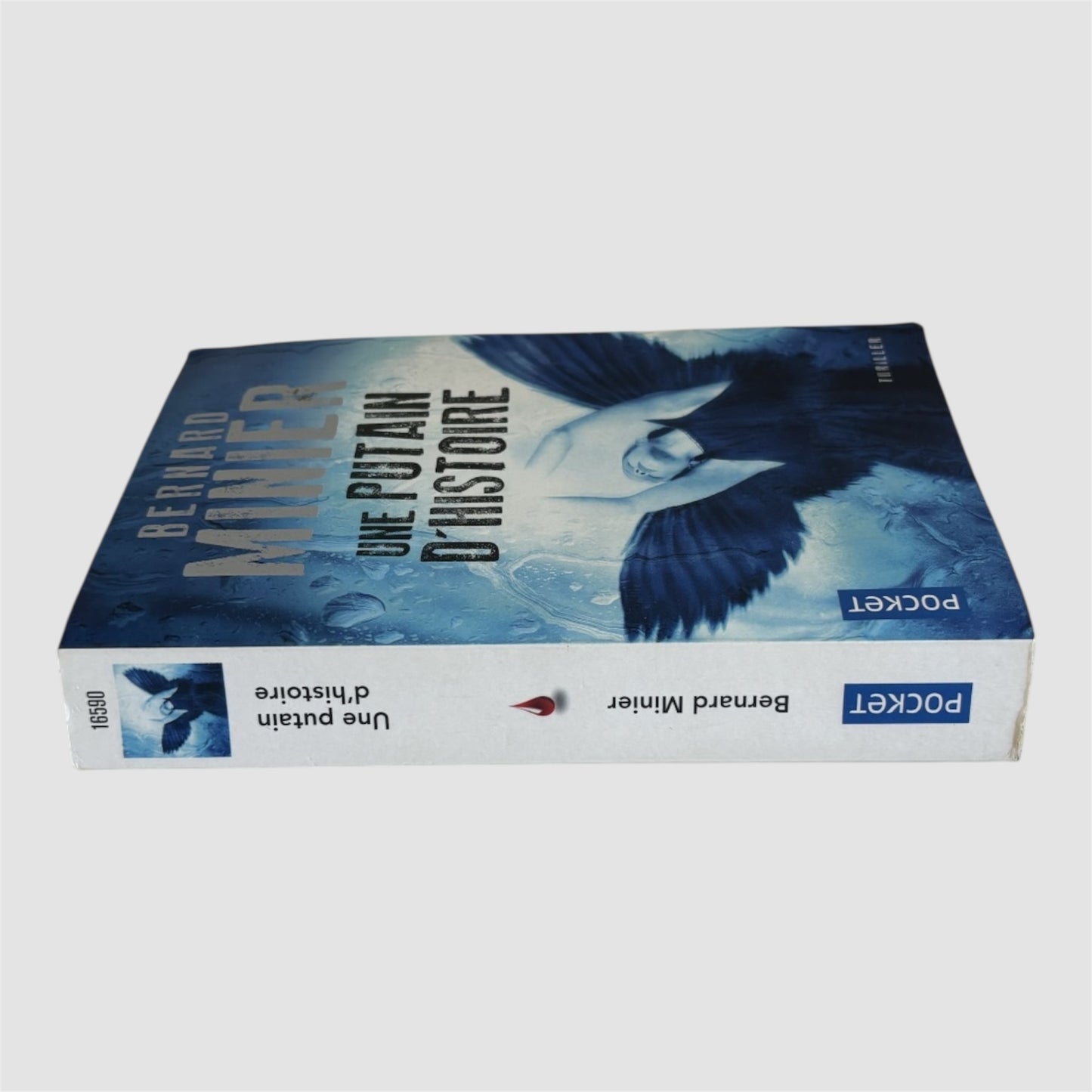 Livro “ Une Putain D’Histoire” de Bernard Minier