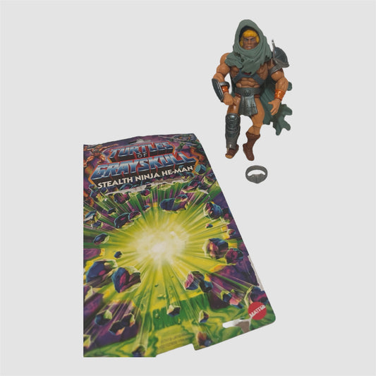 He-Man “Stealth Ninja” – Turtles of Grayskull (Mattel)